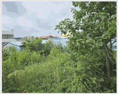  2025Ÿ��502457  �������