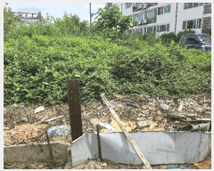  2025Ÿ��502457  �������