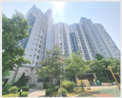  2025Ÿ��502476 ����Ư����ġ�� ���̵� 683 ���縶��2���� 205�� 11��1103ȣ     ����Ʈ���