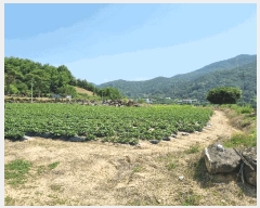  2025Ÿ502551 泲 ݻ걺 ϸ  165-5      (1)