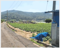  2025Ÿ502551 泲 ݻ걺 ϸ  165-5      (1)