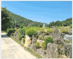  2025Ÿ502551 泲 ݻ걺 ϸ  165-5      (1)