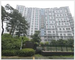  2025Ÿ502717 Ưġ ̵ 656 縶10 1006 3302ȣ     Ʈ