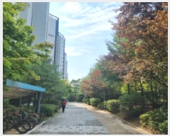  2025Ÿ502717 Ưġ ̵ 656 縶10 1006 3302ȣ     Ʈ