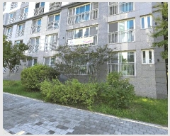  2025Ÿ��503245 ����Ư����ġ�� ���̵� 656 ���縶��10���� 1008�� 1��101ȣ     ����Ʈ���