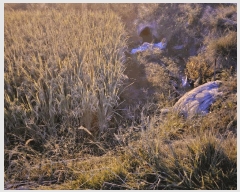  2025Ÿ��503333  ����