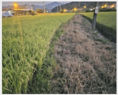  2025Ÿ��503333  ����