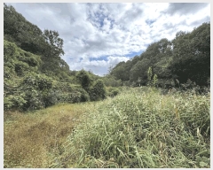  2025Ÿ��503482 ����Ư����ġ�� ������ ���帮 62       ����(�Ӿ�)���