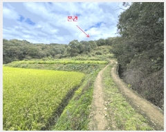  2025Ÿ��503482 ����Ư����ġ�� ������ ���帮 62       ����(�Ӿ�)���