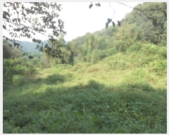  2025Ÿ��503482 ����Ư����ġ�� ������ ���帮 62       ����(�Ӿ�)���