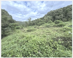  2025Ÿ��503482 ����Ư����ġ�� ������ ���帮 62       ����(�Ӿ�)���