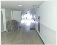  2025Ÿ��503495  �ٸ��󰡰��