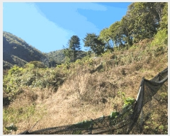  2025Ÿ��503512  �����