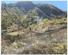  2025Ÿ��503512  �����