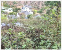  2025Ÿ��503512  �����