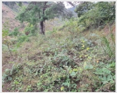  2025Ÿ��503512  �����