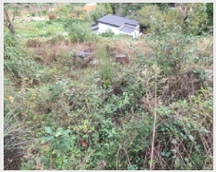  2025Ÿ��503512  �����