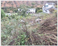  2025Ÿ��503512  �����