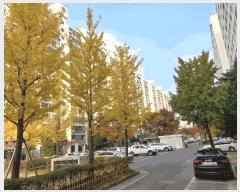  2025Ÿ��503681  ����Ʈ���