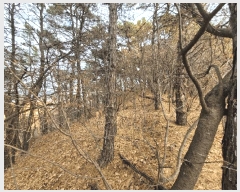  2025Ÿ��503832 ����Ư����ġ�� ������ ���̸� ��34-3       ����(�Ӿ�)���