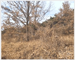  2025Ÿ��503832 ����Ư����ġ�� ������ ���̸� ��34-3       ����(�Ӿ�)���