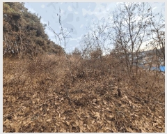  2025Ÿ��503832 ����Ư����ġ�� ������ ���̸� ��34-3       ����(�Ӿ�)���