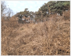  2025Ÿ��503832 ����Ư����ġ�� ������ ���̸� ��34-3       ����(�Ӿ�)���