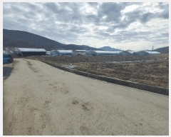  2025Ÿ��503969  ����