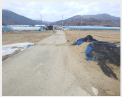  2025Ÿ��503969  ����