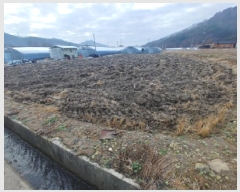  2025Ÿ��503969  ����