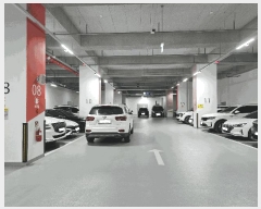  2025Ÿ��504054  ����Ʈ��������