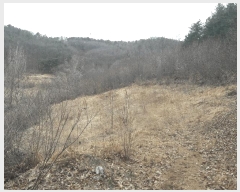  2025Ÿ1344 Ưġ  û۸ 307-3       (1)