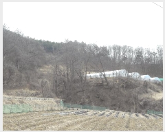  2025Ÿ1344 Ưġ  û۸ 307-3       (1)