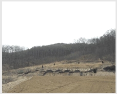  2025Ÿ1344 Ưġ  û۸ 307-3       (1)