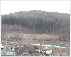  2025Ÿ1344 Ưġ  û۸ 307-3       (1)