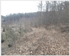  2025Ÿ1344 Ưġ  û۸ 307-3       (1)