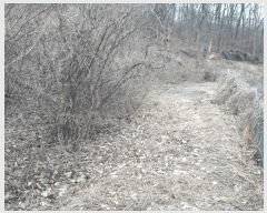  2025Ÿ1344 Ưġ  û۸ 307-3       (1)