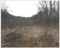  2025Ÿ1344 Ưġ  û۸ 307-3       (1)