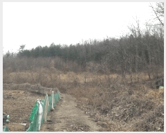  2025Ÿ1344 Ưġ  û۸ 307-3       (1)