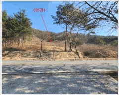  2025Ÿ2583 泲 ݻ걺 ϸ ȸ 49      (Ӿ)