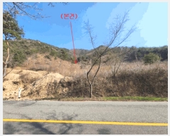  2025Ÿ2583 泲 ݻ걺 ϸ ȸ 49      (Ӿ)