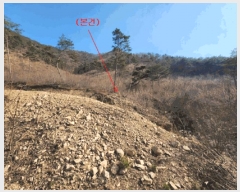  2025Ÿ2583 泲 ݻ걺 ϸ ȸ 49      (Ӿ)