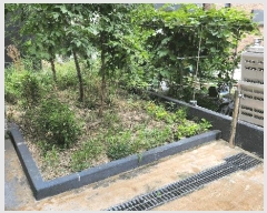  2025Ÿ��2934 ���� ���� ���ȵ� 1880       �ܵ�����,�����ð��