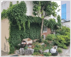  2025Ÿ3511 泲 ݻ걺 ݻ ߵ 481-1      ڽü,,ȣ,