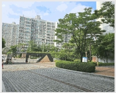  2025Ÿ3618    992 ݼƮ3 301 161602ȣ    Ʈ