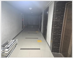  2025Ÿ��3811  ����Ʈ���