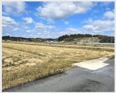  2025Ÿ��3886 ����Ư����ġ�� ������ ������ 661       ����(��)���