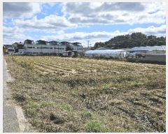  2025Ÿ��3886 ����Ư����ġ�� ������ ������ 661       ����(��)���