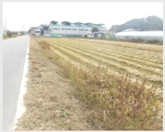  2025Ÿ��3886 ����Ư����ġ�� ������ ������ 661       ����(��)���