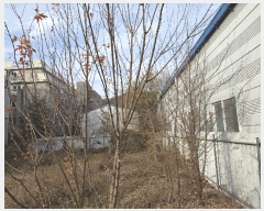  2025Ÿ��3970  �������